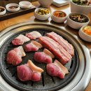 명품갈매기
