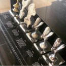 <로터스 랜드(Lotus Land)> 이미지