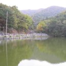 태조산주유소 이미지