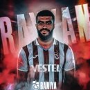 라이얀(Rayyan) 네이버블로그