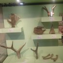 대구약령시한의약박물관 이미지