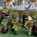 성서중심시장 이미지