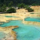 신 황룡 이미지