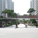 솔빛도서관 이미지