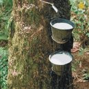 금형농장 이미지