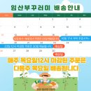 주농산물 | 임산부 농산물 꾸러미 택배 후기 🤰🏻 (신청방법, 농협몰 가격, 주문방법)