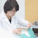 서울더블유치과병원 이미지