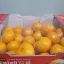 돌빌레 이미지