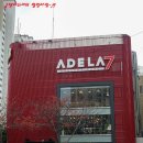 카페아델라 Daum카페