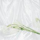 리얼모노 이미지