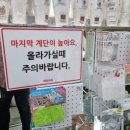 다이소구미문성지구점