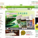 엔젤웰빙