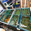 은비수산 이미지