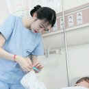 적십자간호대학 이미지