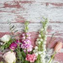 화목교회 이미지