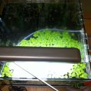 풍원수족관 이미지