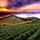 덕은4리 이미지