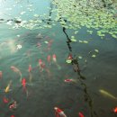 꽃뫼카페휴게소 이미지