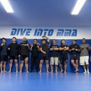 주짓수 복싱 이미지