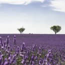 갓바위2농장 이미지