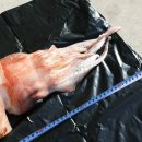 한치펜션 이미지