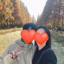 천년의 정원 | 경주 천년숲정원 단풍 후기 경주당일치기코스 추천