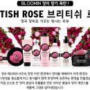 더 브리티쉬 이미지