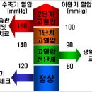 ​심장에는 역시 운동…혈압, 심박수 관련 오해와 진실 이미지