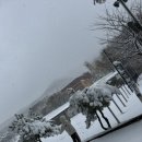 데굴데굴 이미지