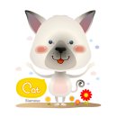 아이엠 동물병원 이미지