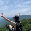 용추폭포가든민박 | 대야산 등산코스 후기｜대야산주차장 원점회귀, 용추계곡 물놀이까지 완벽했던 여름산행