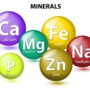 올리브여성의원 이미지