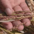 송학농장 이미지