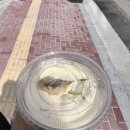 (주)라아