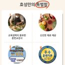 집밥&퓨전요리 이미지