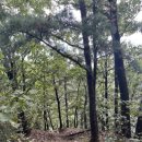 봉양1통 이미지