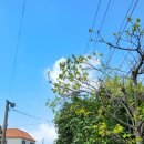 오선1리 경로당 이미지