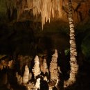 칼즈배드 이미지