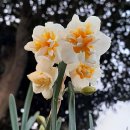 (주)선화