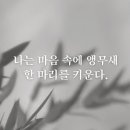 찬란한 인생 이미지