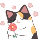 최헤어필 네이버블로그