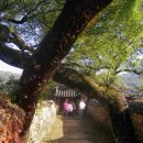 지리산발전소 이미지