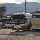 창녕군 영산시외버스터미널 | 밀성여객 밀양 - 창녕 탑승기