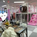 우리끼리키즈카페동화마을서산성연점