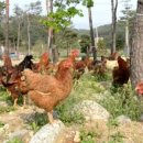 미래농장2 이미지