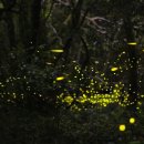 농부와돌집민박 이미지