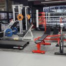 대전유성 복싱클럽 이미지