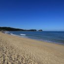 태안바다 이미지