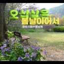 오십살은 봄날이어서 이미지