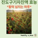 진도구기자 | 활력 넘치는 하루, 진도구기자진액 효능 제대로 알아보기